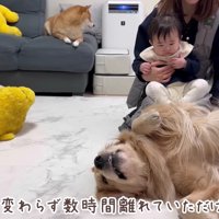 無事に帰ってきてよかった