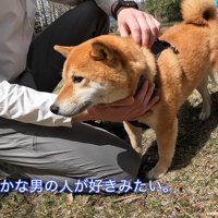 ナラちゃんを撫でると…