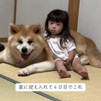 犬にぴったり寄り添う子ども