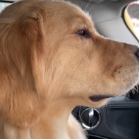 るこる君に「大人しくして」とお願い中