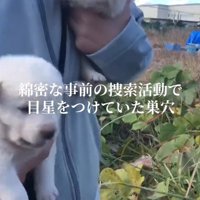 保護されて腕に抱えられる2匹の子犬