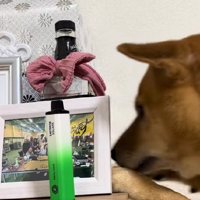 「お酒が好きだったね」