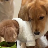 「一口ちょうだい…」