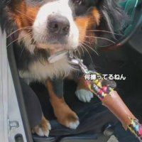 「まだ帰りたくない！」