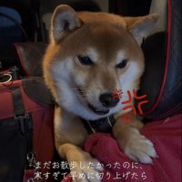 はなまる君の猛抗議2