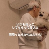 おじいちゃんに抱っこされている小型犬