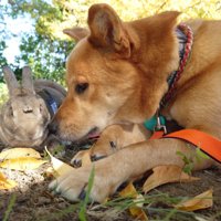 ずっとそばにいる風太くん