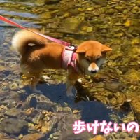 立ち止まってしまいました