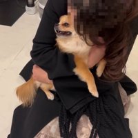 ぎゅっとしながらナデナデ…
