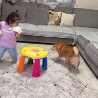 うにくんと追いかけっこ