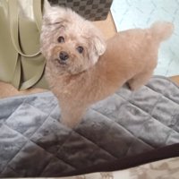 ママを見る虎太郎くん