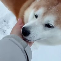 やっと再会できた♡