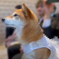 「幸せになってね」