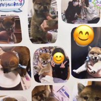 たくさんの思い出