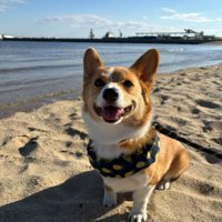 海辺をお散歩した時の笑顔♪