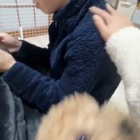 彼氏に手を伸ばす人