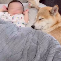 麦ちゃんと茶々ちゃんと赤ちゃん