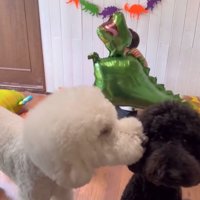 男の子を見守る