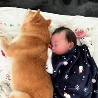 心が温かくなる物語