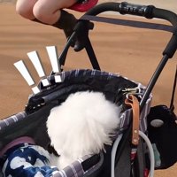 ミルクくんのナイスリアクション5