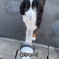 またお顔に水が…！