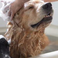気持ち良さそう♪