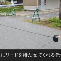 男の子がリードを持つと…