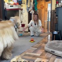 競り合うように駆け寄って…