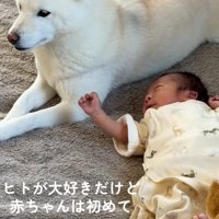 初対面のふたり