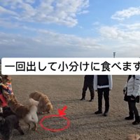 おやつを分けて食べるにこちゃん