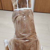 インパクトがすごい…