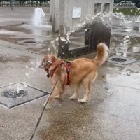 水がかかるラニーちゃん