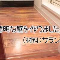 ラップで通り道を塞いだら…