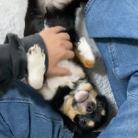 甘えん坊全開で歓迎♡