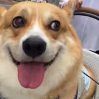 笑顔のジノくん2