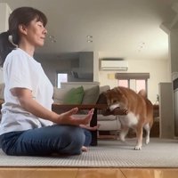 瞑想を邪魔する野々花ちゃん3