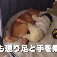 一緒に寝ていたら…