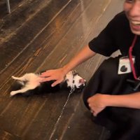 爆笑するお兄さん