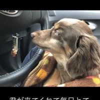 投稿主さんの優しさに救われていたはず