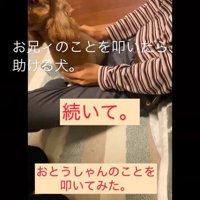 家族を叩くフリをした時のカブ子ちゃん6