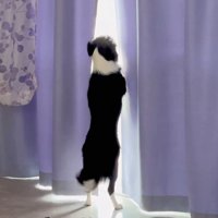 ママを待つノエルちゃん