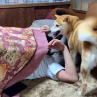 ものすごく嬉しそう♡
