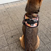 サービスエリア