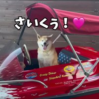 おもちちゃんは乗り物が大好き！