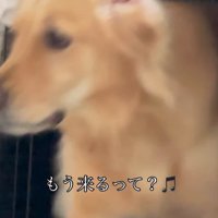 寝起きの瞬間⑩