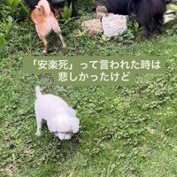 みんなでいるって楽しいね