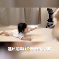 バッ！！