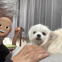 おじいちゃん