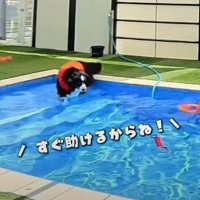 「助けなきゃ！」