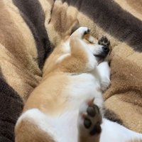 「眠いけど、まだ寝たくないよ～」